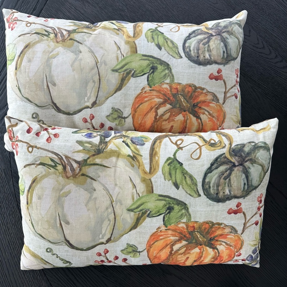 🍂 Pair of Pottery Barn Indoor/Outdoor Lumbar Pillows